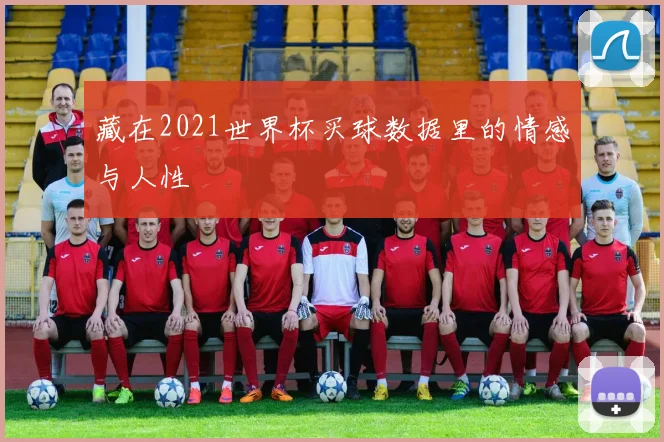 藏在2021世界杯买球数据里的情感与人性
