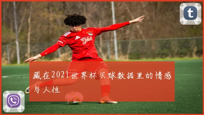 藏在2021世界杯买球数据里的情感与人性