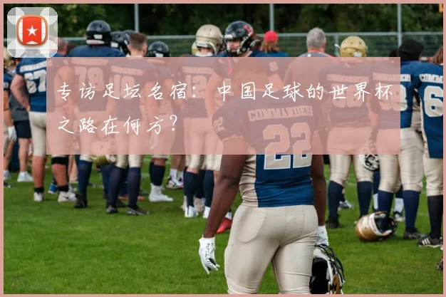 专访足坛名宿:中国足球的世界杯之路在何方?