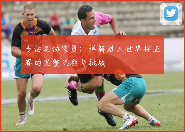 专访足协官员：详解进入世界杯正赛的完整流程与挑战